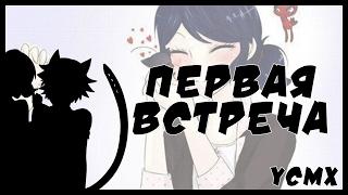 Комикс Леди Баг и Супер Кот | Первая встреча