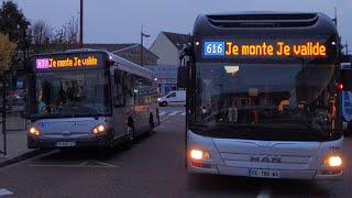 Galerie de Transport en Communs de FamilleDiarrab (Mai à Novembre 2022)  #15