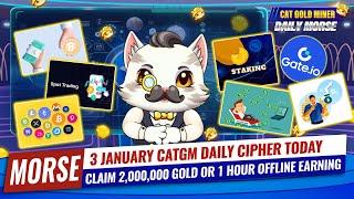 03 January CATGM Daily Cipher Today️CAT GOLD MINER OFFICIAL