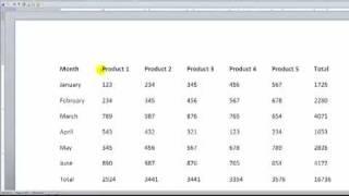 Import Word & Access Data Files in Excel 2007
