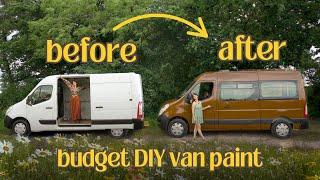 Roller Painting My Van Exterior for Under £200! (Full Step-by-Step Guide)