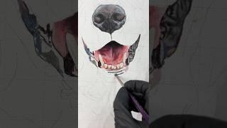 Where the personality starts to shine through  #petportrait #petportraitartist #artist #painting