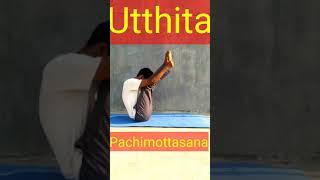 #shorts | Utthita Paschimottasana | Yoga and Fitness With Shiva