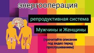 #энергооперация Репродуктивная система Мужчины и Женщины