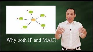 Why do we need both IP and MAC address?