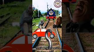 Animals Car Spiderman Crossing Train || funny vfx train || comedy dragon stop the high speed train