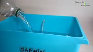 Getting Started - Darwin Junior Hydroponic Starter Kit