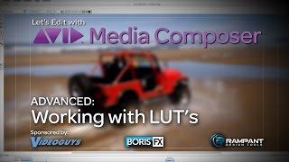Let's Edit with Media Composer - ADVANCED - Working with LUT's