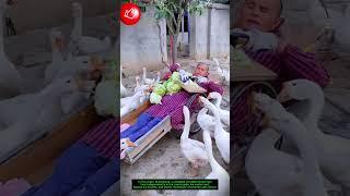 Strength Beyond Limits: He Inspiring Rural Life 