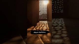 Bring your heart and soul closer to allah#islam #quran #motivation