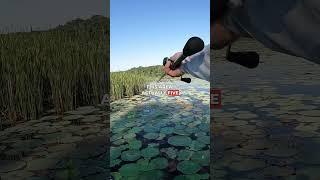 Fishing Shallow Cover Like A PRO