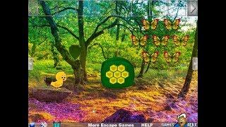 Woodland Forest Escape Walkthrough [Games2Rule]