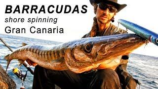 Shore Spinning for Barracuda Canary Islands