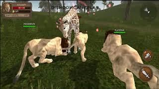 Ultimate Lion Simulator - Lion Vs Crocodile, Panther Android Gameplay #11 | Dishoomgameplay