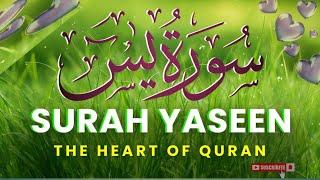 Surah Yasin(Yaseen)| Full With Arabic |By Qari Abubakkar|Quran Tilawat|یس سورہ|Beautiful recitation