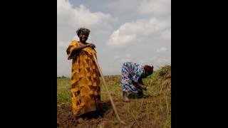 Peace Through Prosperity: Women's World Banking Helps Women Through Microfinance