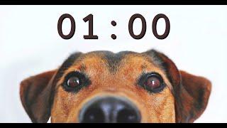 1 Minute Timer for School and Homework - Dog Bark Alarm Sound