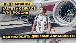 Куда можно улететь сейчас? Новости туризма и авиарейсы.