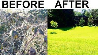 BACK YARD TRANSFORMATION,LAWN START-FINISH HAND MAKEOVER,HOW TO FIX GRASS, NEW REBUILD SOW SEEDS DIY