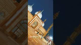Is jagah alg sukoon hai  Aligarh Muslim University #shorts #short #amu