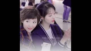 Double side crush| Drama~ Love020️| Yang Yang| Zheng shuang| Chinese drama clip #shorts