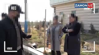Фоҳишалик қилиш учун Туркияга кетаётганлар қўлга олинди