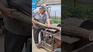 Which Circular Saw is Best for Cutting Firewood? Review, Tips & Comparison 