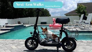 First Ride Impressions: Gyroor C1S Scooter with My Pet! Revolutionary Dog Walking Scooter