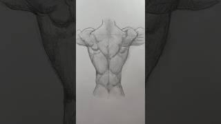 Draw back muscles  Easy drawing lesson for how to draw back muscles. #drawinglesson #drawing