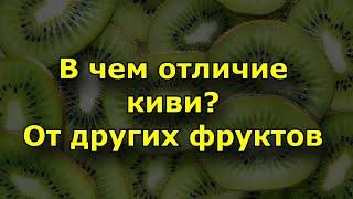 В чем особенность киви перед другими фруктами? Состав и польза фрукта Киви