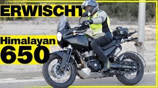 Royal Enfield Himalayan 650 – Erlkönig gesichtet