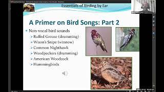 The Essentials of Birding by Ear with John Robinson