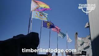 Timberline in the Summer
