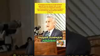 Южная Осетия ● «Сердце Грузии, Шида-Картли, было объявлено Южной Осетией!» ● Акад. Андрей Апакидзе