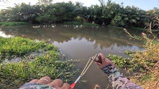 shooting fishing slingshots, cooking fish and eggs