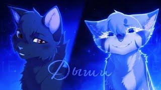 〖 Warrior Cats - Крутобок и Серебрянка 〗Дыши | Виктория Дайнеко