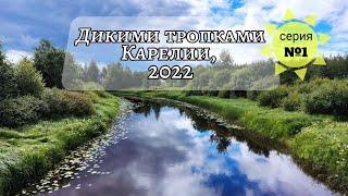 Большой летний поход на велосипедах по диким тропкам Карелии, август 2022