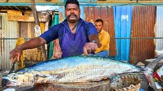 KASIMEDU  SPEED SELVAM | 12 KG BIGG SEER FISH CUTTING VIDEO | IN KASIMEDU | FF CUTTING 