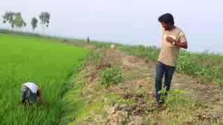 Must Watch New Funny Comedy Videos 2019   Episode 18  Binodon Bajar