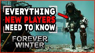 A Beginner's Guide To Forever Winter | Everything You Need To Know!