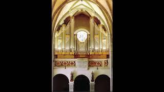 Toccata en Satz over Psalm 100 - Jan J. van den Berg (1929 - 2020)