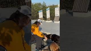 Собирание кусочков помогает отвлечь и успокоить собаку. #dogtraining #doglife