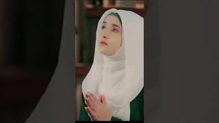 syeda areeba fatima new naat status