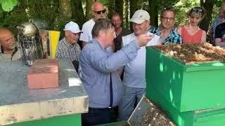 Live Demonstration am Bienenvolk Teil 3 - ein starkes Volk. Ein Beitrag der Armbruster Imkerschule.