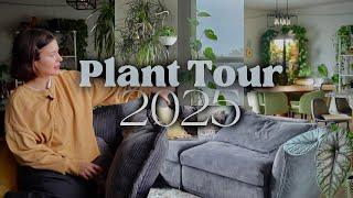 A tour of my houseplants - My full plant collection walk through 2025