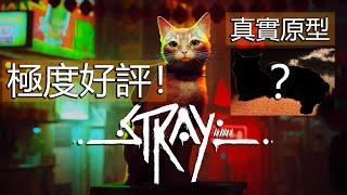 《浪貓 Stray》到底在紅什麼？為什麼可以獲得壓倒性好評？