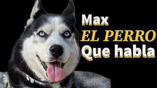 El Perro Que Habla