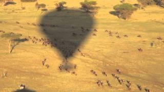 Balloon Safari over the Serengeti Migration