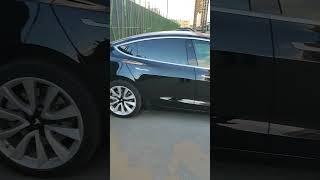 НИВА против TESLA