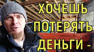 ИНВЕСТИРУЙ В СЕЛЬСКОЕ ХОЗЯЙСТВО! Работа с инвестором на личном примере